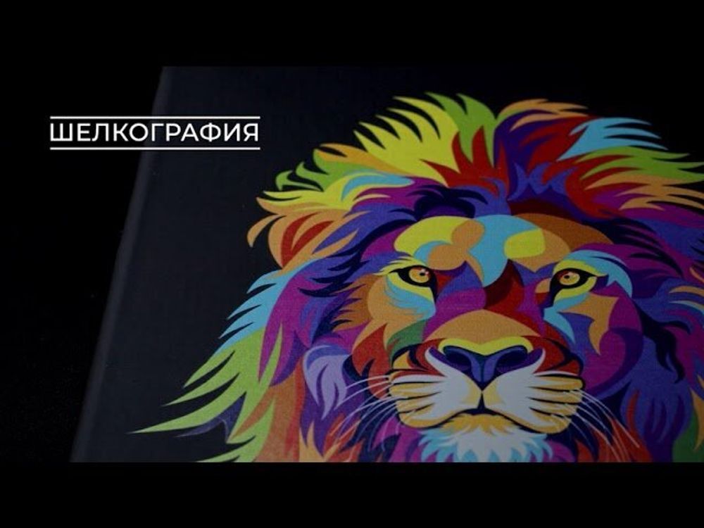 Дневник 1-11 класс 48 л., обложка кожзам (твердая), тиснение, аппликация, BRAUBERG, "ВКУСНЯШКИ", 105487