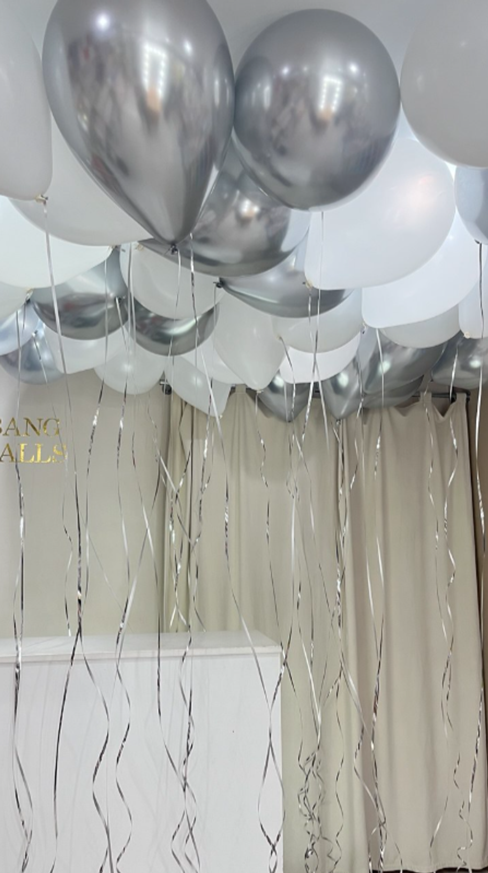 шары под потолок №109