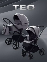 Коляска детская RANT "TEO" (2в1) RA120