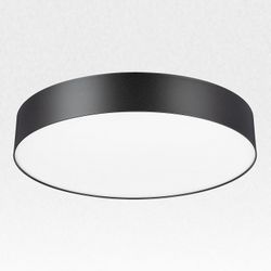 Накладной светильник Citilux BART CL755391