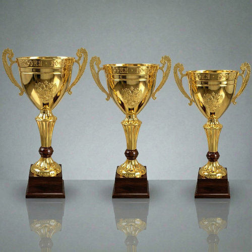 Кубок РУС1104