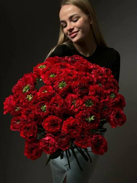 Букет из 51 красных пионовидных роз под ленту