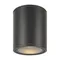 Потолочный светильник Бар / Bar 3000К 12Вт IP 65 Outdoor o306cl-l12gf