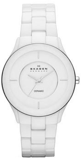 Наручные часы Skagen SKW2066