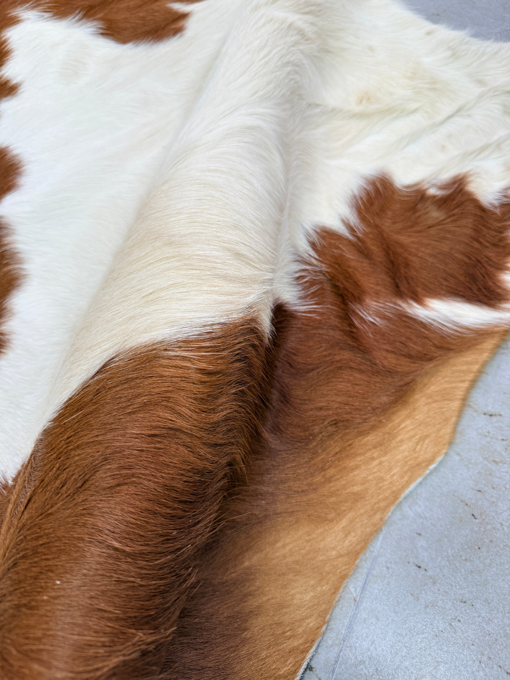 Коровья шкура на пол натуральная.