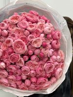 Гранд букет из яркой кустовой пионовидной розы