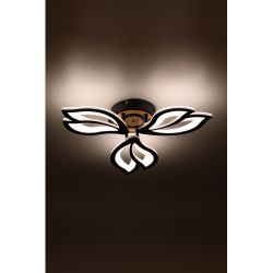 Светильник потолочный светодиодный Rivoli Lana 6195-703 LED 3000-6250К 60 Вт с пультом | Rivoli