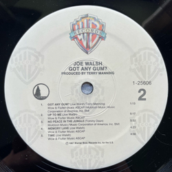 Винтажная виниловая пластинка LP Joe Walsh Got Any Gum (США 1987)
