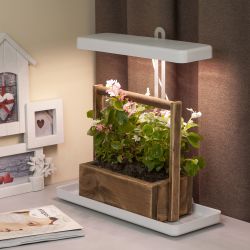 Настольный светильник для растений ЭРА FITO-20W-QLED-W полного спектра 20 Вт белый | Интерьерные фито светильники