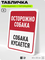 Табличка "Осторожно собака, собака кусается" на дверь и забор, для двора, дома, подъезда, 40х30 см, Silver Plane x Айдентика Технолоджи