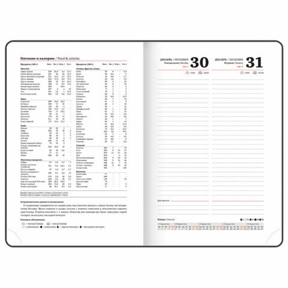 Ежедневник датированный 2025 А5 138x213 мм BRAUBERG "Rainbow", под кожу, черный, 115803