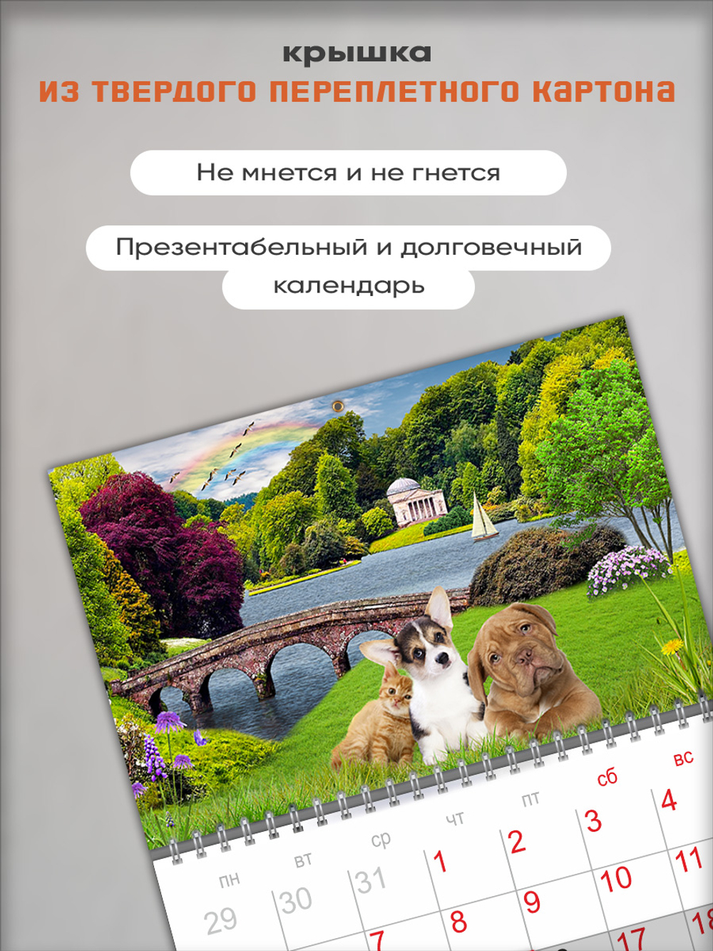 Настенный отрывной календарь "Щенки и котенок в парке"