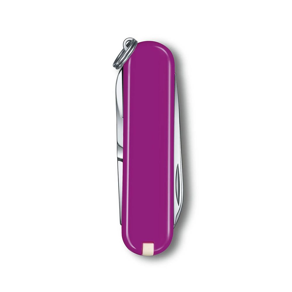 Нож Victorinox 0.6223.52G Tasty Grape