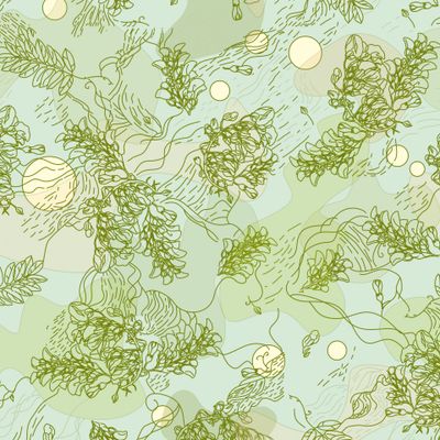 Запах акации