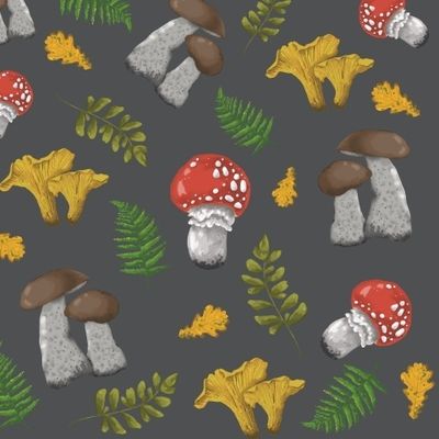 Грибной бум