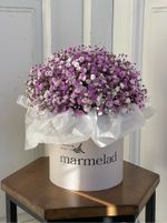 Коробка из розовой гипсофилы