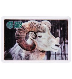 МТ- 001/06 Магнит «Новосибирский зоопарк»