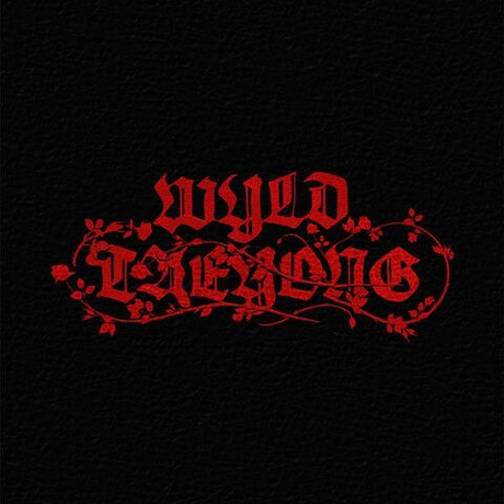 Альбом TAEYONG - WYLD (WYLD BOOK Ver.)