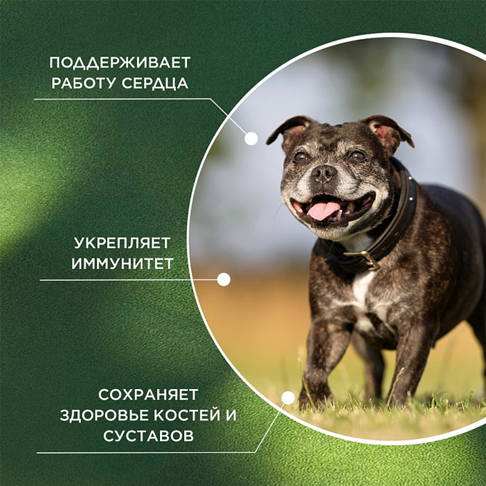 Функциональная кормовая добавка для собак и кошек ProPhyto Сеньор Саппорт, 100 таблеток