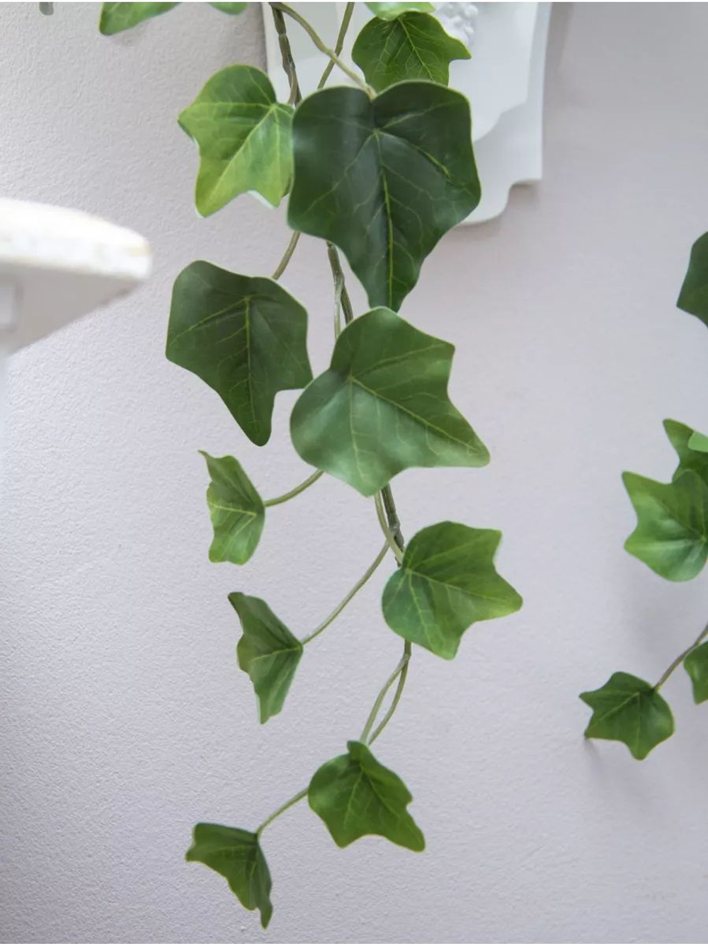 Настенная композиция в кашпо "Плющ"