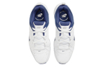 Кроссовки Nike Defy All Day