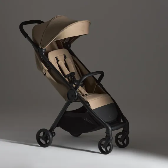 Коляска ANEX iQ 2 в 1 Honey