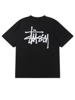 Мужская Футболка Basic Stussy Pig. Dyed