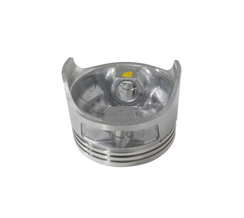 Поршень LC1P65FA/130030092-0001