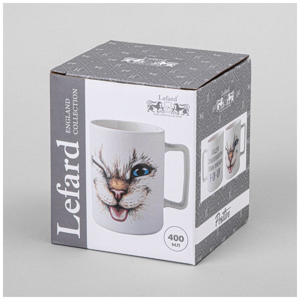 КРУЖКА LEFARD "ВЛАДЕЮ ДРЕВНЕКИТАЙСКИМ БОЕВЫМ ПРИЕМОМ У-КУ-ШУ " 400МЛ