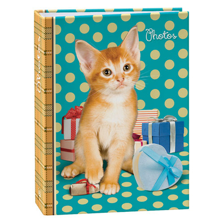 Image Art 257 IA -100PP