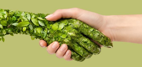 Тренды ароматов 2026 года: революция в мире парфюмерии