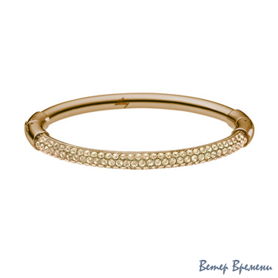 Бижутерия DKNY NJ1959040