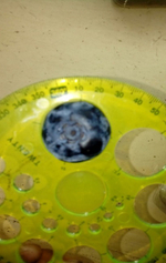 Голубика ("садовая") -Перу