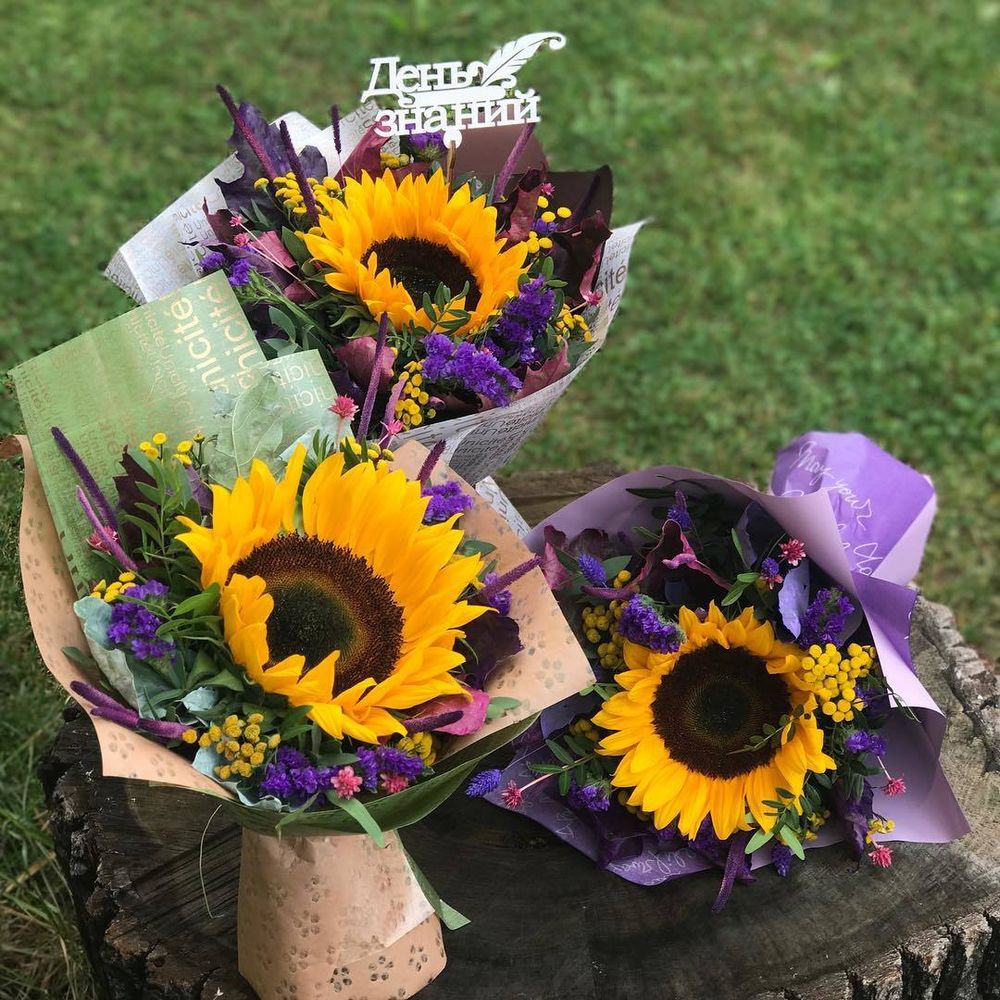 Подсолнухи