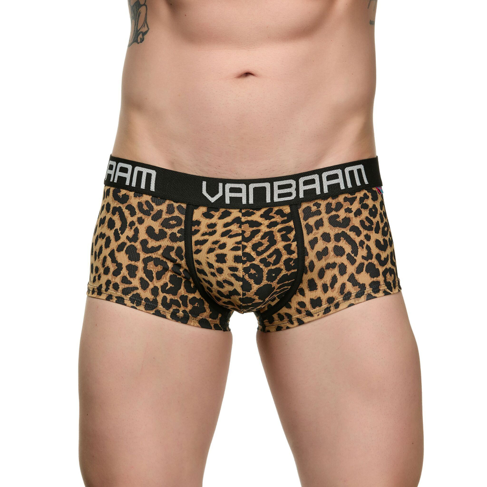 Мужские трусы-хипсы с леопардовым принтом (Размер: L) (Цвет: коричневый)