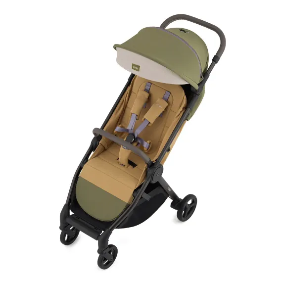 Коляска ANEX iQ Premium 2 в 1 hugg x Brandon Coleman