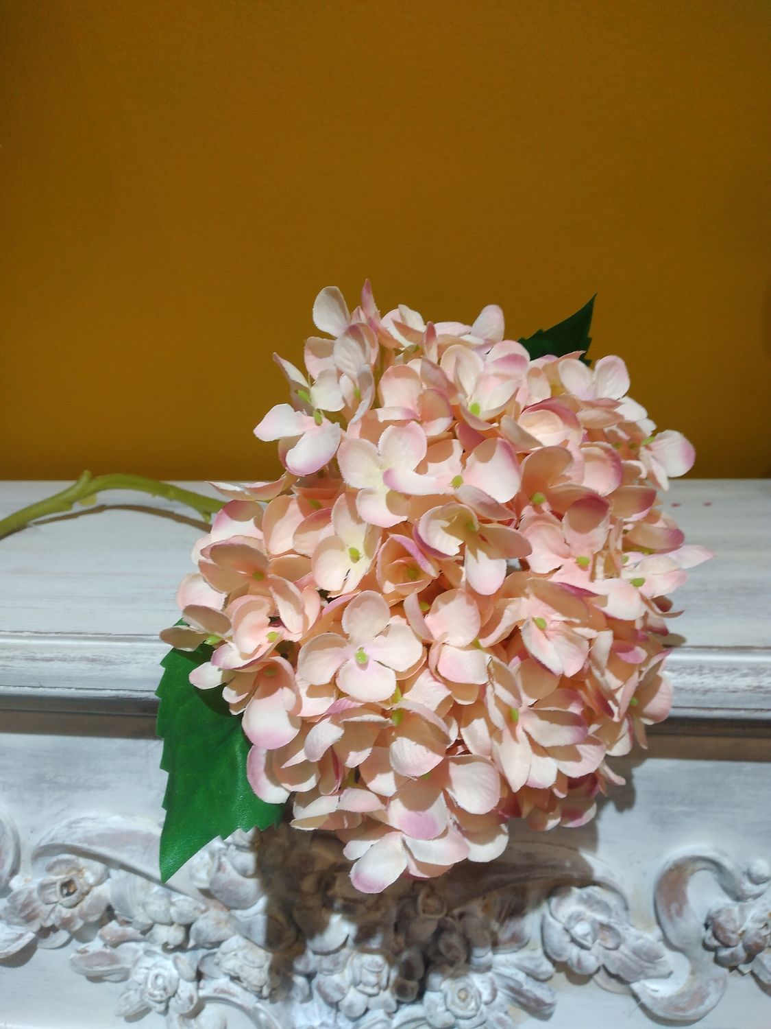 гортензия 51см белый-розов