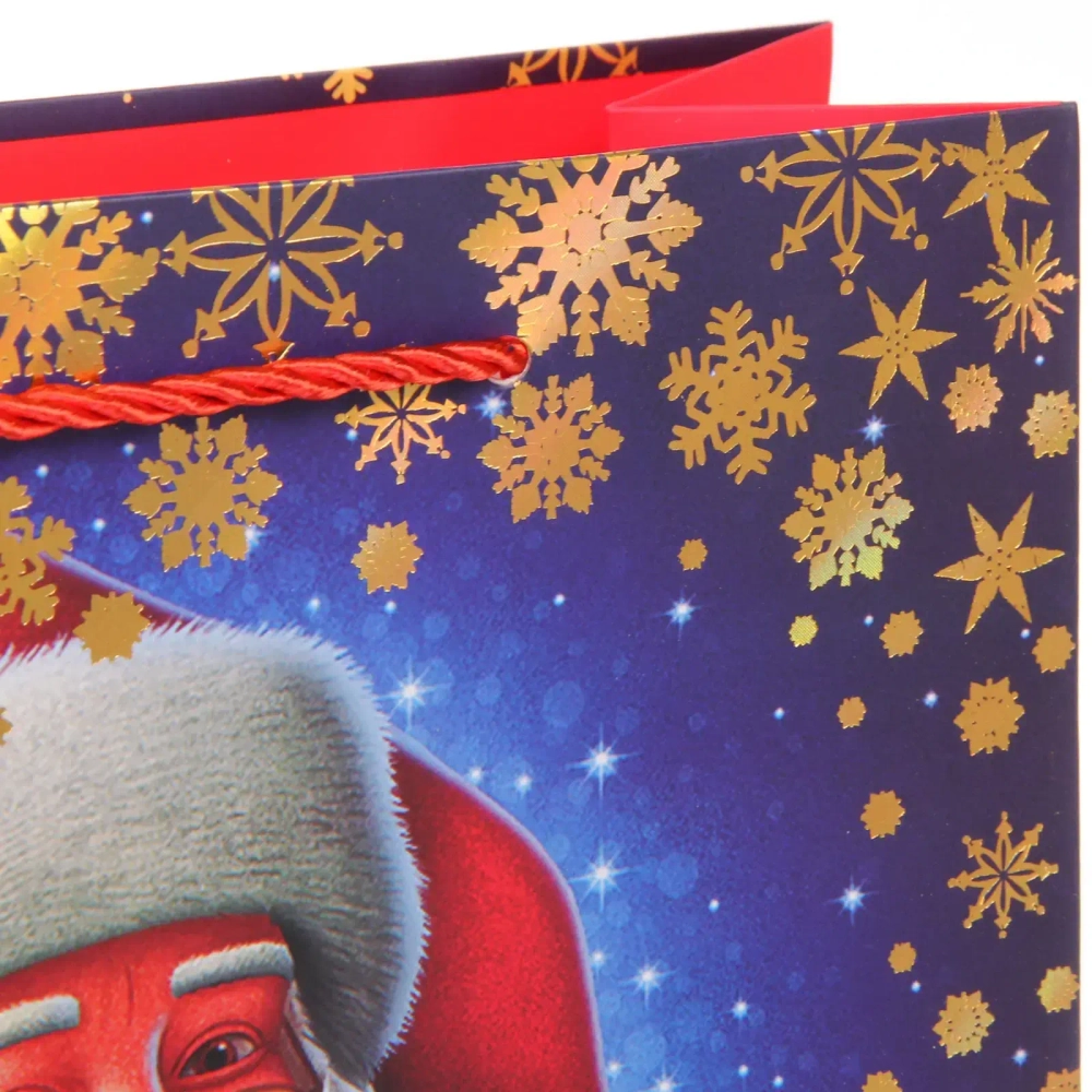 Пакет подарочный «Сказочный Дедушка» 26*32*10 см, микс