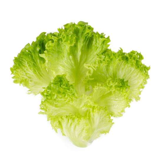 Лимамбо семена салата листового (Rijk Zwaan) семена – фото 2