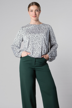 Блузка женская 3801зп, Принт #110Прб093801зп