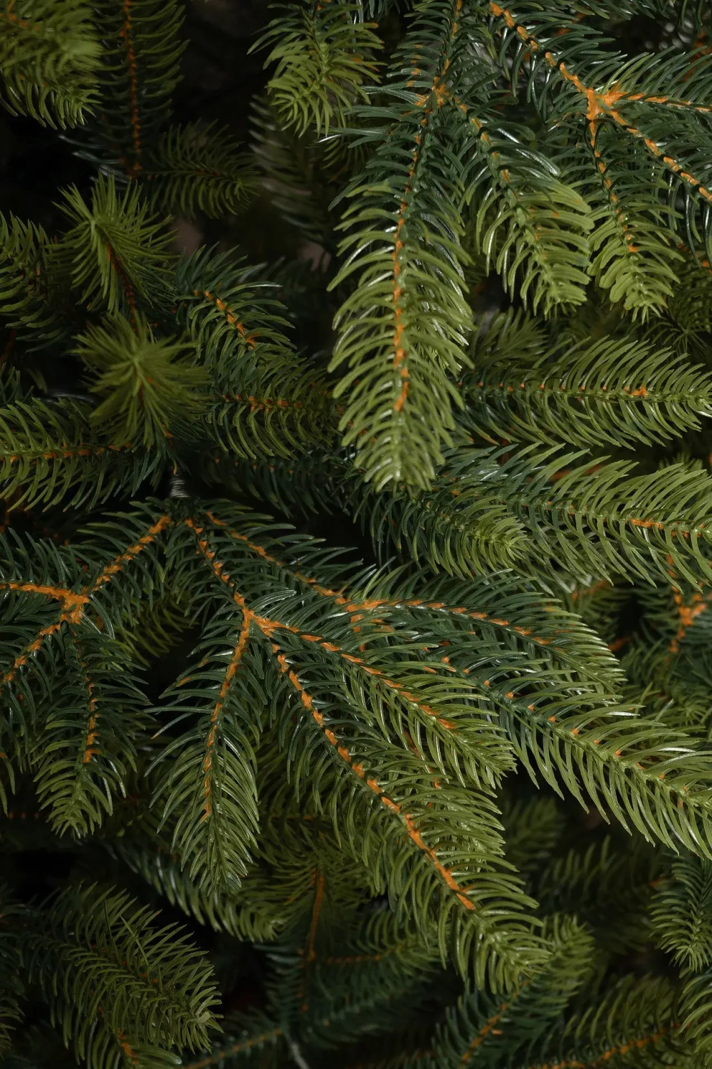 Искусственная елка Приморская 210 см., 100% литая хвоя, ЕлкиТорг (53210)