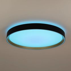 Citilux BOSS CL751451G LED RGB Светильник с пультом Чёрный с Золотом