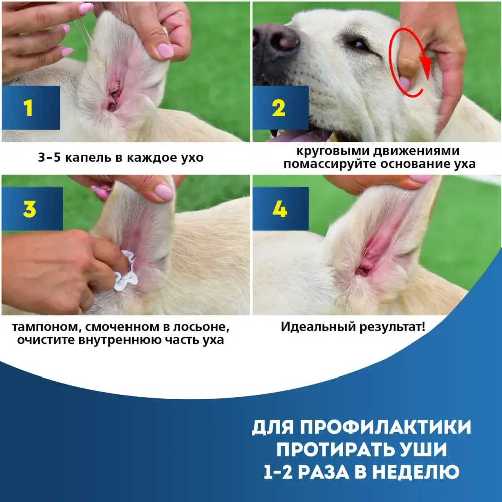 Лосьон для кошек и собак Cliny для ушей, 50мл Лосьон для кошек и собак Cliny для ушей, 50мл