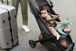 Прогулочная коляска UPPAbaby MINU V2 Greyson