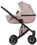 Детская коляска Anex e/type 2 в 1 pixie