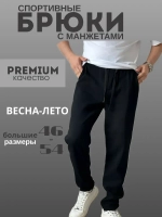 Спортивные штаны без начеса