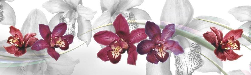 Кухонный фартук Орхидеи 2000х600 мм