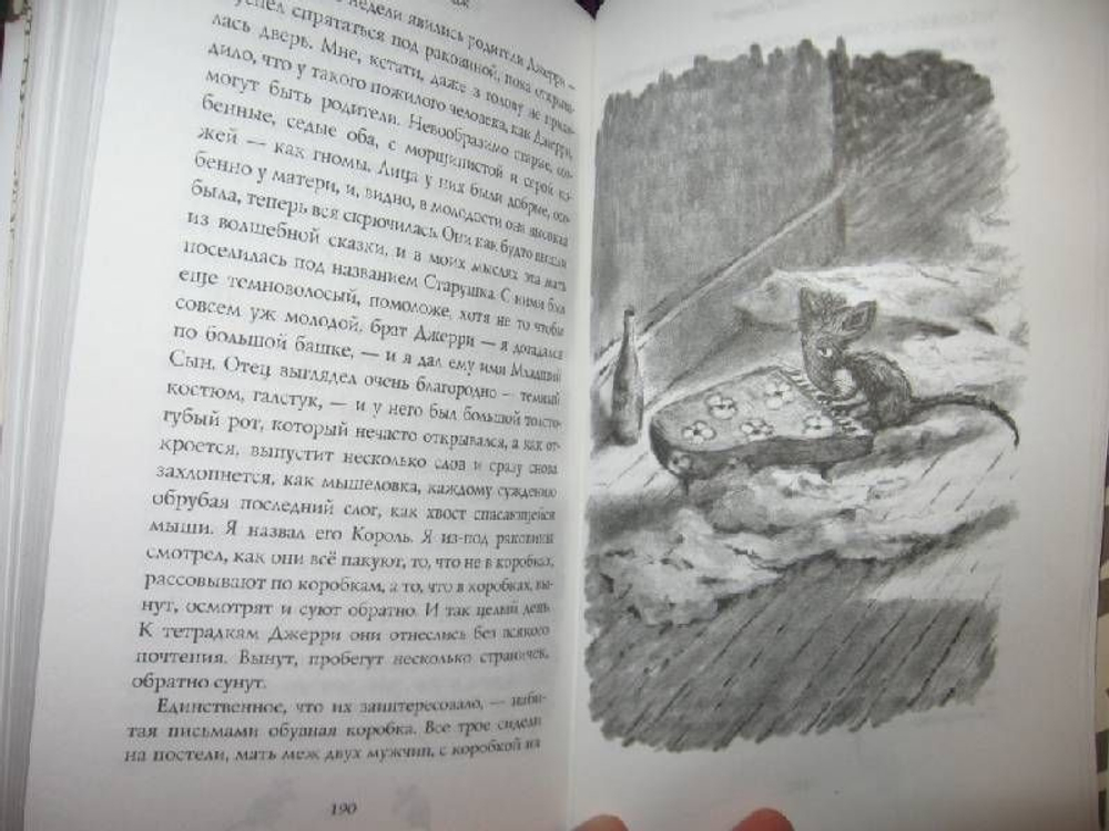 Фирмин. Из жизни городских низов