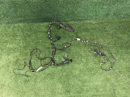 Проводка двери передняя левая BMW X3 F25 (2010-2017)