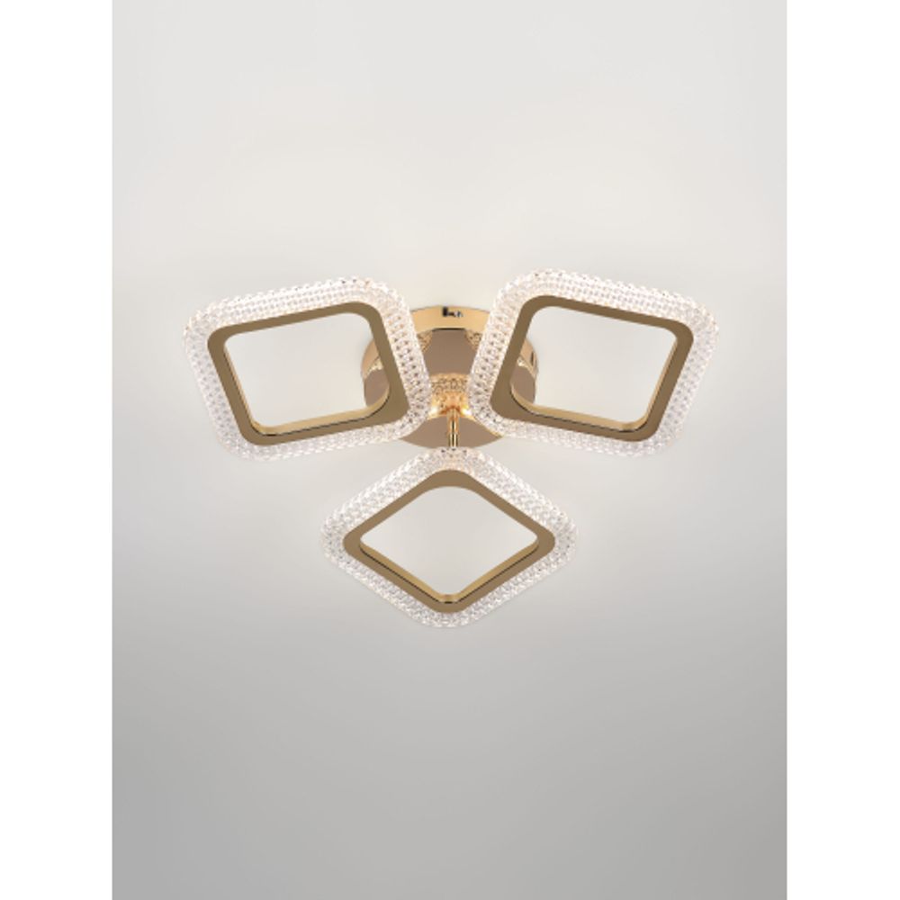 Светильник потолочный светодиодный Rivoli Dorinata 6179-701 LED 48Вт 3000-6000К с пультом | Rivoli